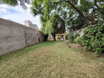 Casa - Wilde