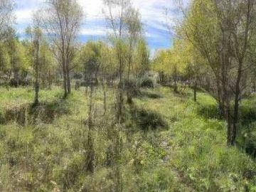 Terreno en venta - 1.000mts2 - San Bernardo Del Tuyú