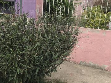 Casa - El Talar