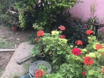 Casa - El Talar