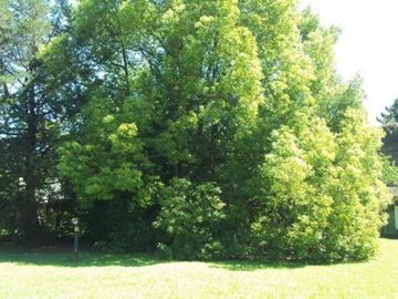 VENTA- PARQUE LELOIR- CHALET DE 4 AMB- SOBRE 3700 M2 DE TERR