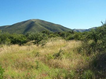 Chacras de montaña