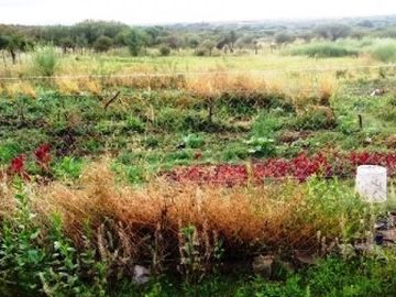 Venta Campo 47 hectáreas - Ruta 2 - San Martín - San Luis