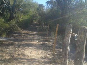 Campo en Santiago del Estero (Figueroa)