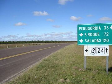 CAMPO FORESTAL EN PERUGORRIA CORRIENTES