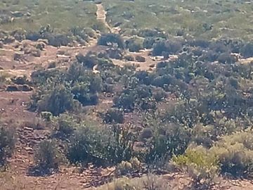 PUEBLO VACA MUERTA FINCAS DE UNA HECTAREA EN SENILLOSA