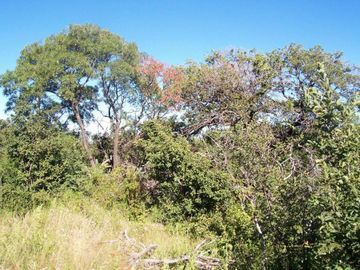 CHACRAS DE MONTAÑA/ZONA URITORCO/3 HA