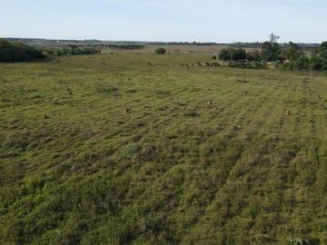 CAMPO FORESTAL EN VENTA