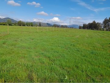 Construye Tu Hogar Soñado en Talca, Mariposa
