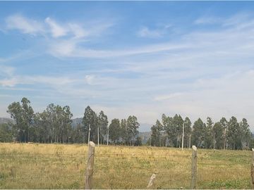 Construye Tu Hogar Soñado en Talca, Mariposa