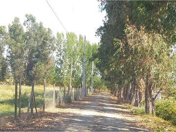 Construye Tu Hogar Soñado en Talca, Mariposa