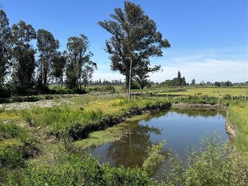 Agrícola en Venta en Chillan, Condominio La Taguitas Km 8 Camino a Coihueco