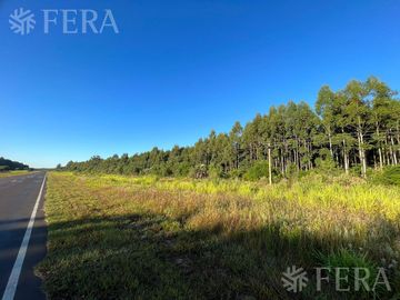 Venta de Campos en Santa Rosa - Concepción - Corrientes