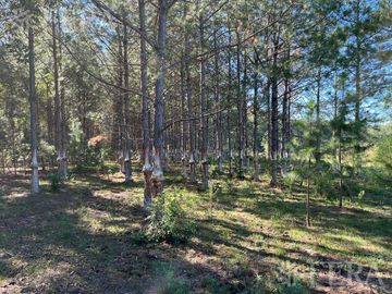 Venta de Campos en Santa Rosa - Concepción - Corrientes