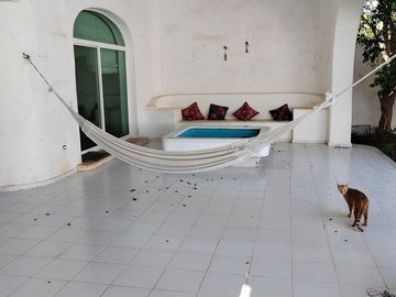 VENTA CASA EN TAMANCHE