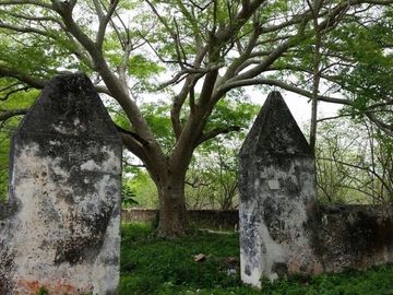 VENTA.   HACIENDA EN SUMA DE SAN NICOLAS, YUC.
