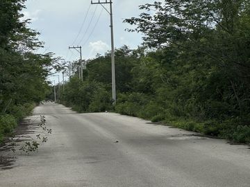 TERRENOS PARA DESARROLLO RESIDENCIAL E INDUSTRIAL TIXCACAL, YUC