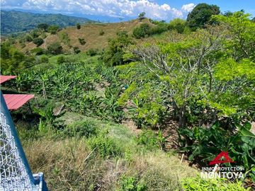 Vista🔥 Finca en la vía Alcalá-Cartago