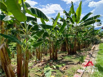 Vista🔥 Finca en la vía Alcalá-Cartago