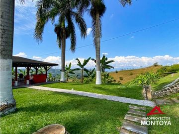 Vista🔥 Finca en la vía Alcalá-Cartago