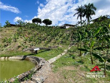 Vista🔥 Finca en la vía Alcalá-Cartago