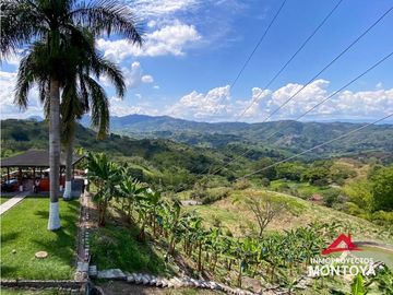 Vista🔥 Finca en la vía Alcalá-Cartago