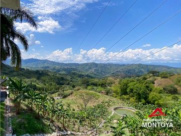Vista🔥 Finca en la vía Alcalá-Cartago