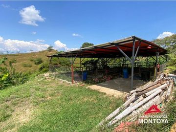 Vista🔥 Finca en la vía Alcalá-Cartago