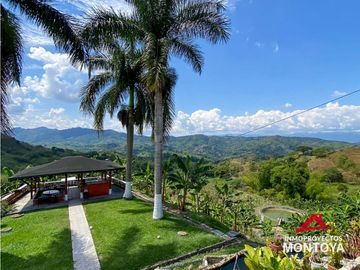 Vista🔥 Finca en la vía Alcalá-Cartago