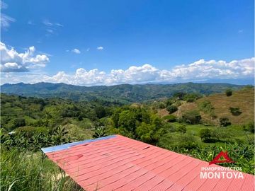 Vista🔥 Finca en la vía Alcalá-Cartago