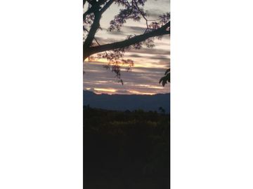Se Vende Chalet Campestre Quimbaya Quindio