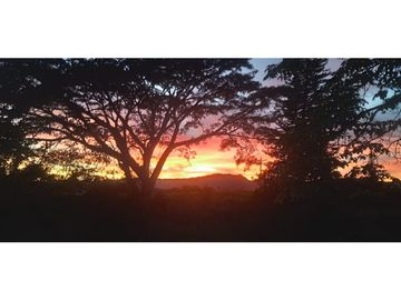 Se Vende Chalet Campestre Quimbaya Quindio