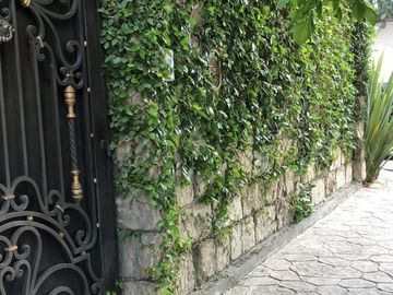 Casa en Fraccionamiento El Sáuz