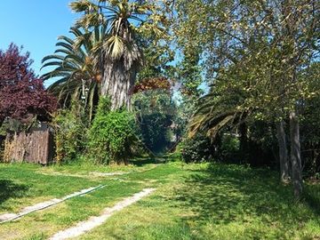 Casa + cabañas en parcela / 10 min Melipilla.