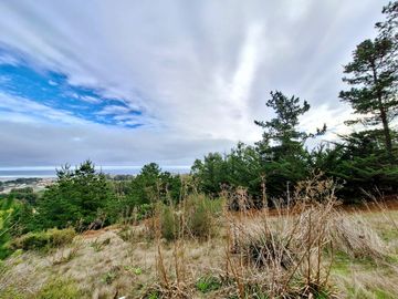 EXCELENTE!! Parcela de 5.000 m2 con una Vista Espectacular en Alto Cahuil, Pichilemu