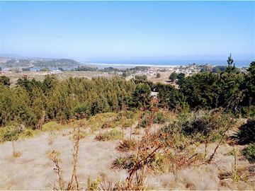 EXCELENTE!! Parcela de 5.000 m2 con una Vista Espectacular en Alto Cahuil, Pichilemu