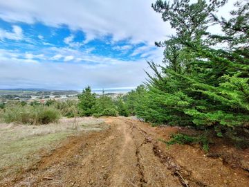 EXCELENTE!! Parcela de 5.000 m2 con una Vista Espectacular en Alto Cahuil, Pichilemu