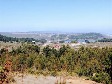 EXCELENTE!! Parcela de 5.000 m2 con una Vista Espectacular en Alto Cahuil, Pichilemu