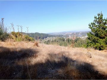 EXCELENTE!! Parcela de 5.000 m2 con una Vista Espectacular en Alto Cahuil, Pichilemu
