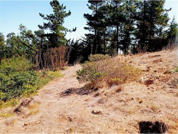 EXCELENTE!! Parcela de 5.000 m2 con una Vista Espectacular en Alto Cahuil, Pichilemu