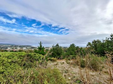 EXCELENTE!! Parcela de 5.000 m2 con una Vista Espectacular en Alto Cahuil, Pichilemu