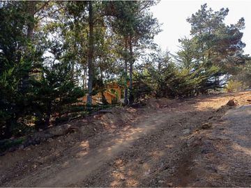 EXCELENTE!! Parcela de 5.000 m2 con una Vista Espectacular en Alto Cahuil, Pichilemu