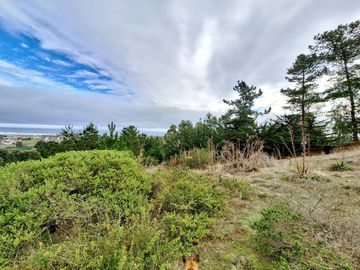 EXCELENTE!! Parcela de 5.000 m2 con una Vista Espectacular en Alto Cahuil, Pichilemu
