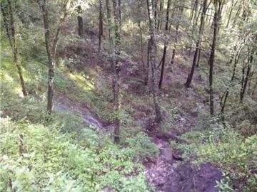Se vende terreno boscoso en Omitlan de Juarez, Hidalgo