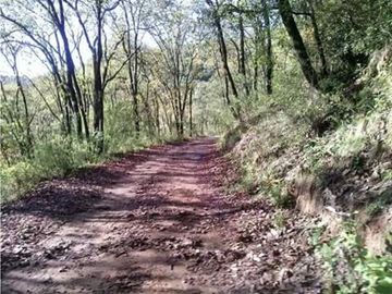 Se vende terreno boscoso en Omitlan de Juarez, Hidalgo