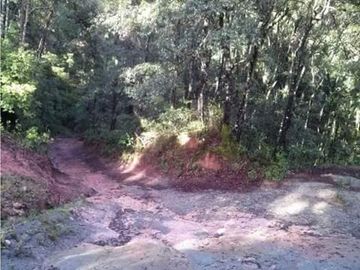 Se vende terreno boscoso en Omitlan de Juarez, Hidalgo