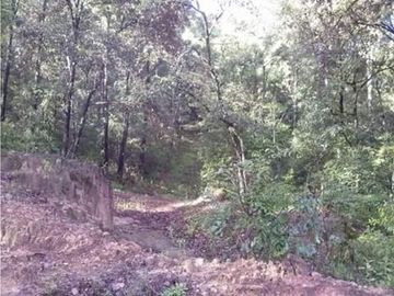 Se vende terreno boscoso en Omitlan de Juarez, Hidalgo