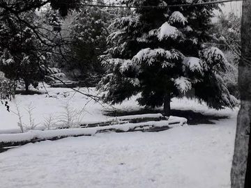 Chacra en Mallin Ahogado
