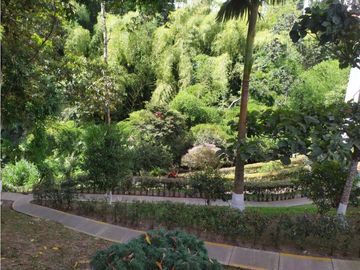 RENTA APARTAMENTO EN PISO ALTO PINARES PEREIRA