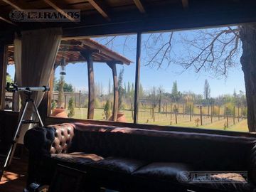 Casa rural con alma de finca. a 4 km de la capital. Mendoza. Rivadavia. terreno 8000 m2